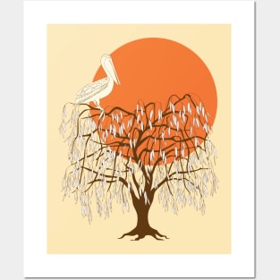 pelican on the willow tree in the sunset Posters and Art